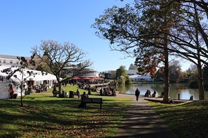 Waikato Language Institute